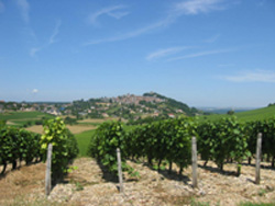 www.ville-sancerre.com