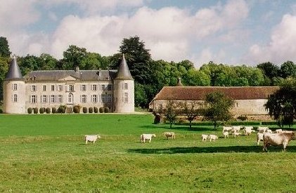 Vue du château depuis la Sauldre