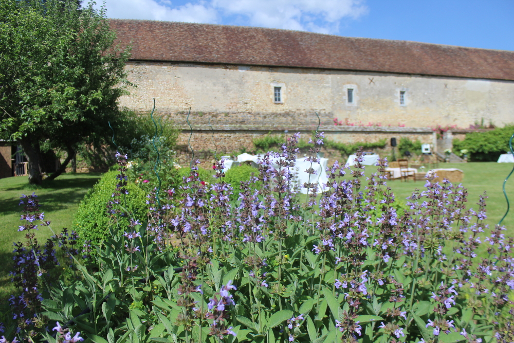 Jardin orient Sud - Vue sur les jardins