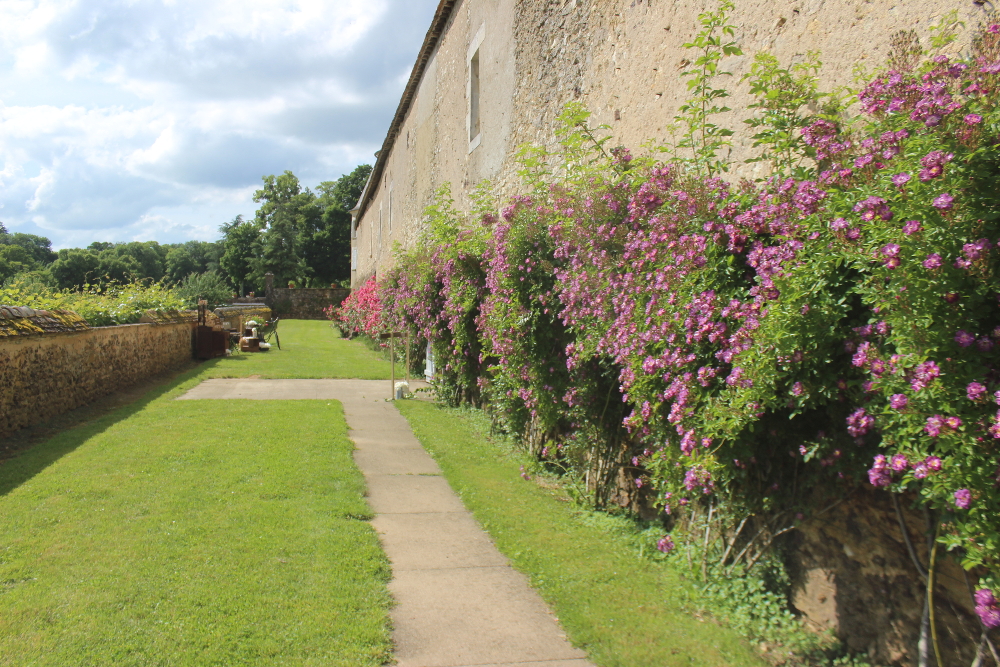 Jardin orient Sud - Vue sur le chteau