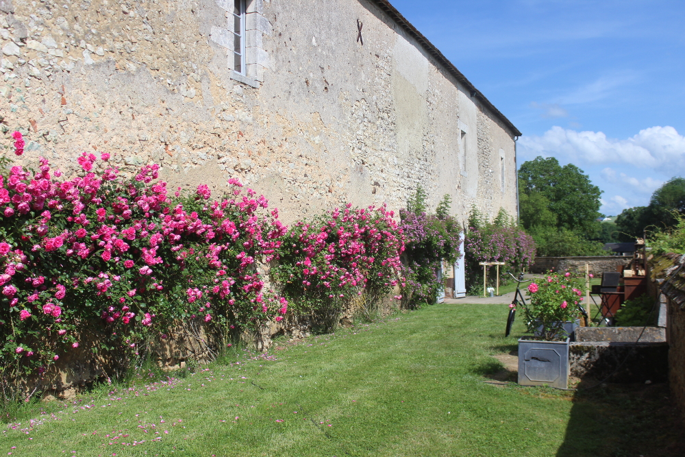 Jardin orient Sud - Vue sur le chteau