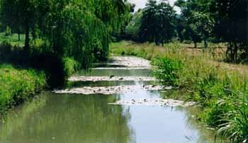 Vue sur la rivière